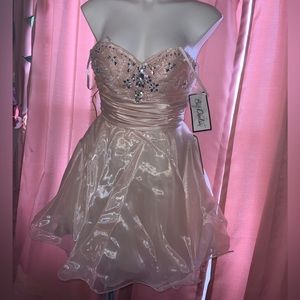 Ligjt pink Short Strapless rhinestone party dress